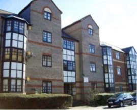 1 Bedroom Semi-Detac...